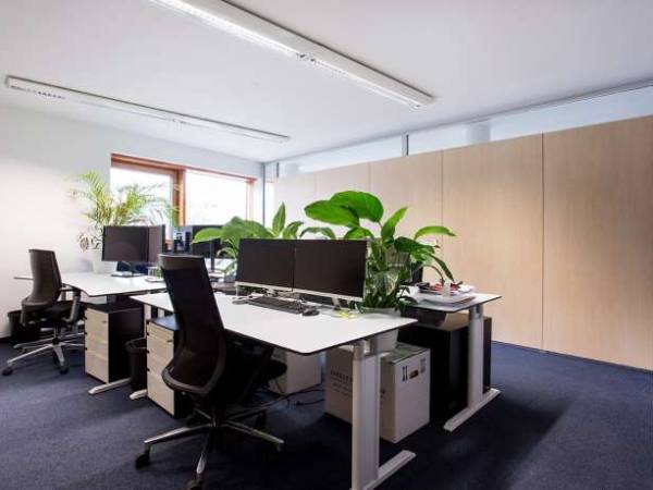 Abschließbares Büro in München (Maxvorstadt) – Offene Bürogemeinschaft mit hellen Räumen in München-Maxvorstadt — Bild 1