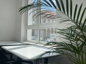 Einzelbüro in zentraler Bürogemeinschaft