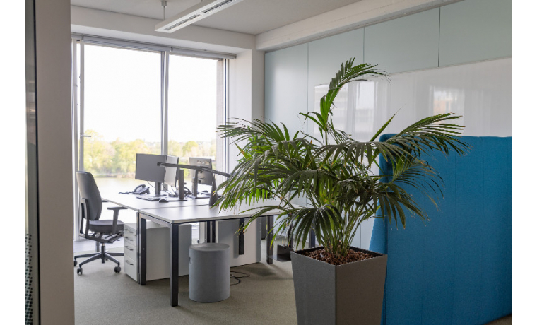 Shared Office Kaistraße Düsseldorf Hafen