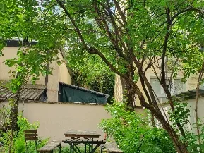 Abschließbares Büro in München (Maxvorstadt) – Helle & kreative Bürogemeinschaft in München-Maxvorstadt — Bild 7
