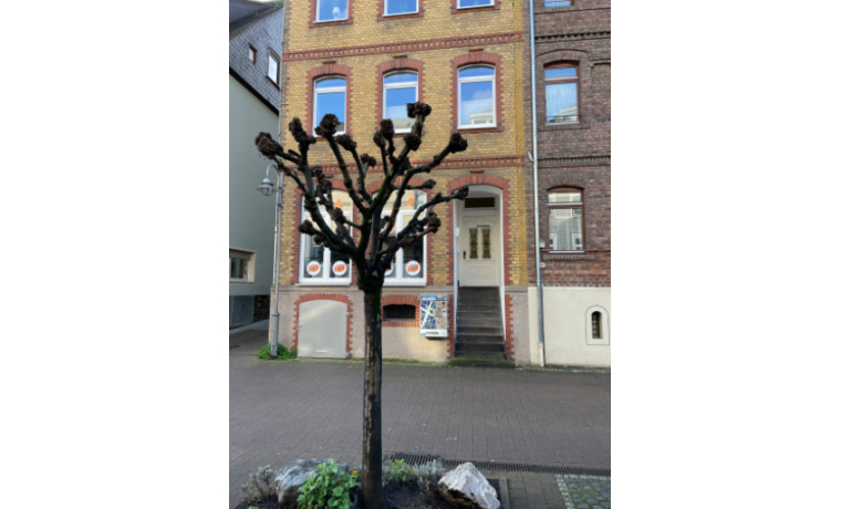 Bürogemeinschaft Heerstraße Sankt Goar 