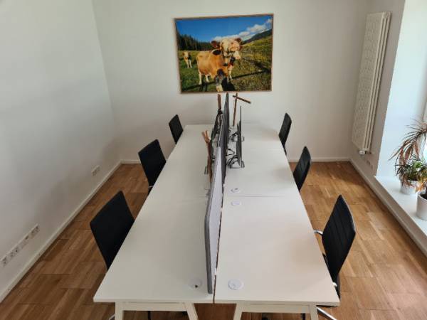 Ruhiger und heller Büroraum in Bürogemeinschaft in München Maxvorstadt — Bild 2