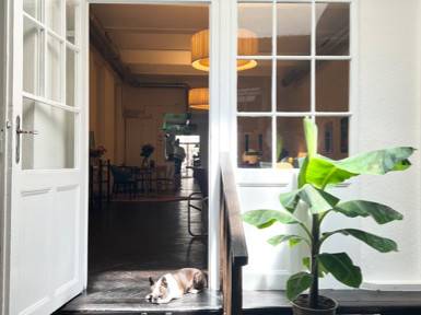 Co working Desks in einmaliger Umgebung in Wiens Innenstadt — Bild 6