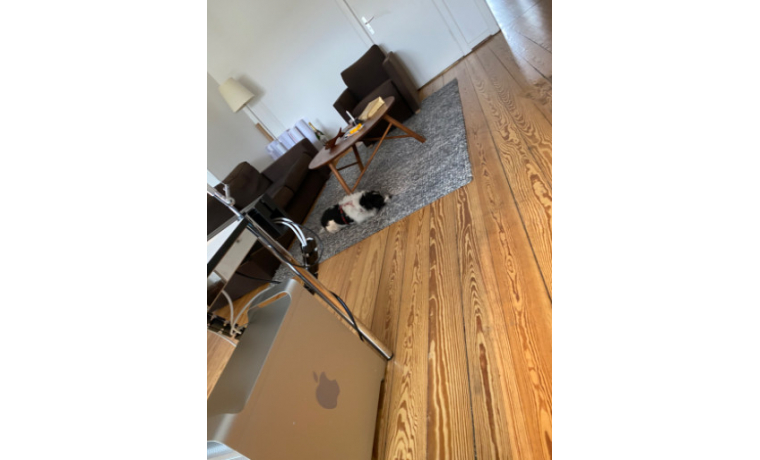 Büro mieten Königstraße Elmshorn 