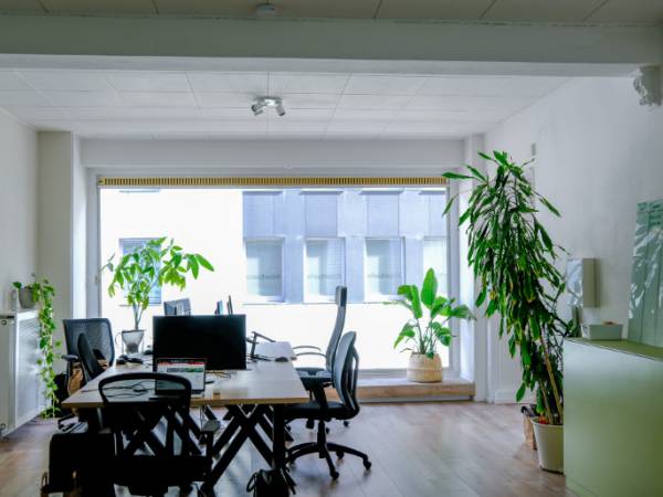 Grüne, lichtdurchflutete Bürogemeinschaft in Köln-Altstadt-Nord — Bild 2