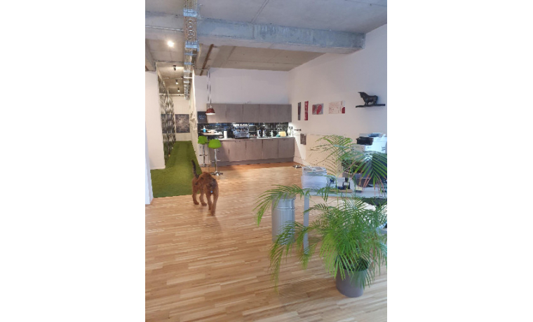 Coworking Space Hauptstrasse Weißenhorn 