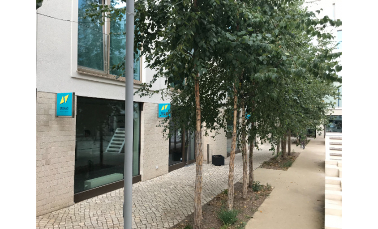 Büro auf Zeit Kastanienallee Berlin Prenzlauer Berg