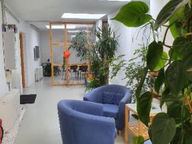 Coworking in kreativer Ateliergemeinschaft in 1160 Wien, Hippviertel