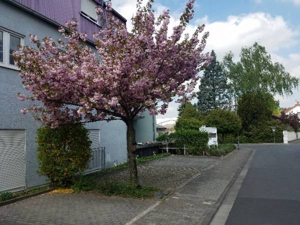 Effizienter Coworking Arbeitsplatz in Darmstadt-Wixhausen — Bild 2