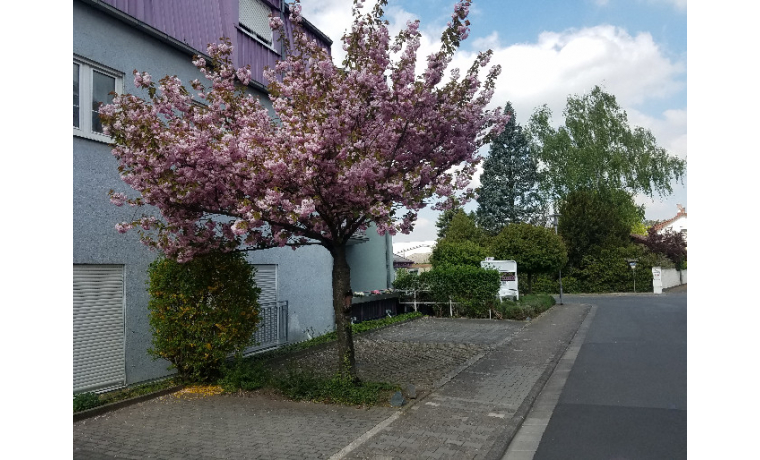 Bürogemeinschaft Messeler-Park-Str. Darmstadt Wixhausen
