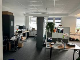 Modernes Loftbüro zwischen Deichtorhallen und HafenCity
