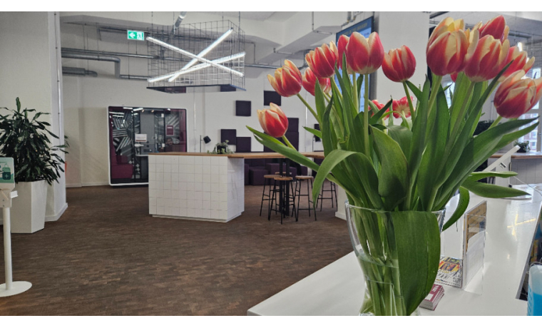 Coworking Mariendorfer Damm Berlin Tempelhof