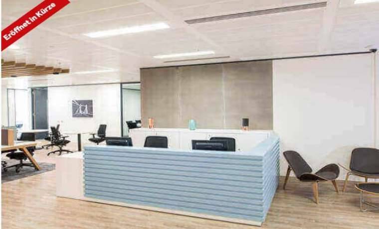 Moderner Coworking Space & Büros in Erfurts Altstadt