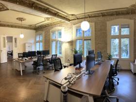 Konzentriertes und fokussiertes Arbeiten in gemütlicher Atmosphäre