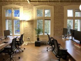Konzentriertes und fokussiertes Arbeiten in gemütlicher Atmosphäre