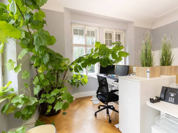Abschließbares Büro in München (Altstadt-Lehel) – Büroraum in repräsentativer Bürogemeinschaft in München-Altstadt-Lehel — Bild 1