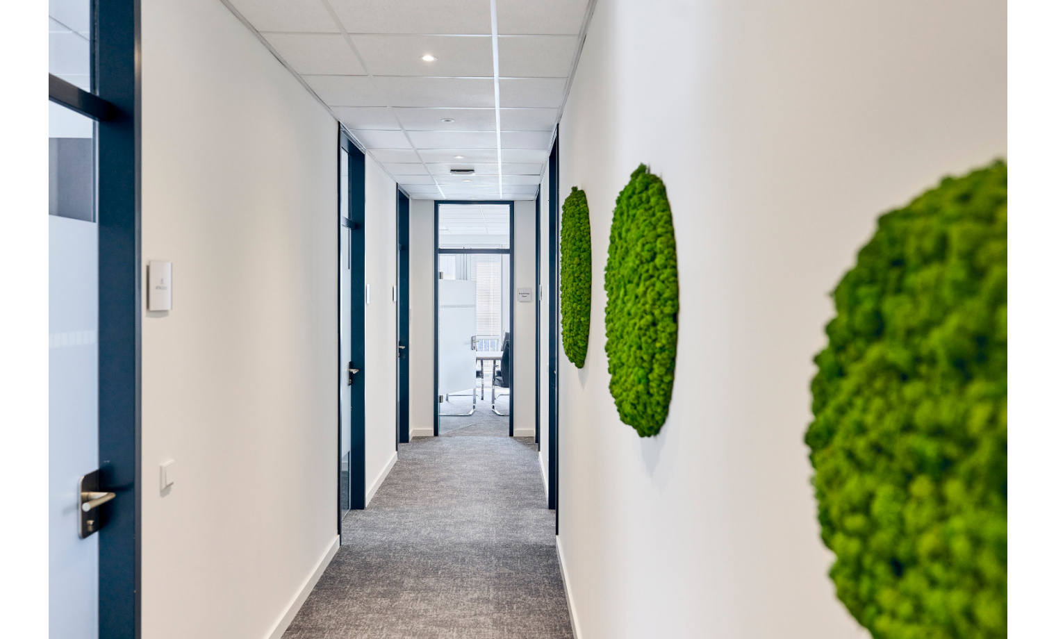 Office Sharing Carl-Zeiss-Ring Ismaning 